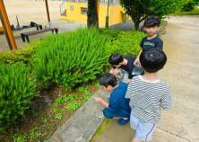 (광주용산초) 2학년 교내체험학습 미리보기