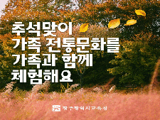 사진8